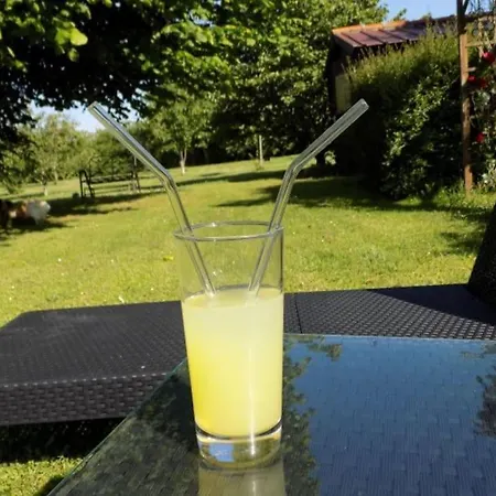 Vue Du Jardin Les Adjots